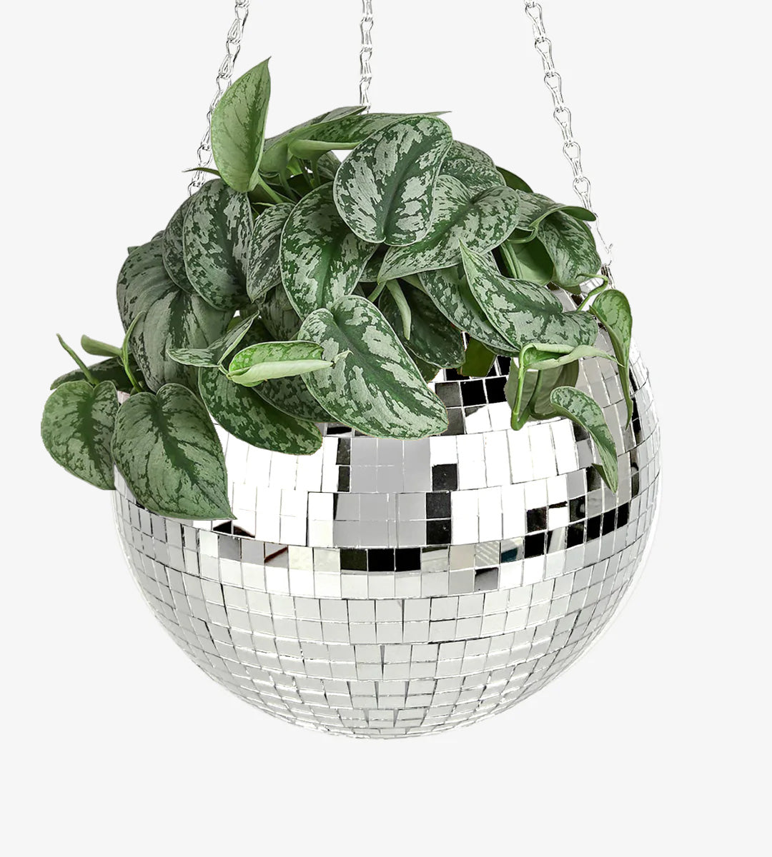 Disco Ball Planter-4