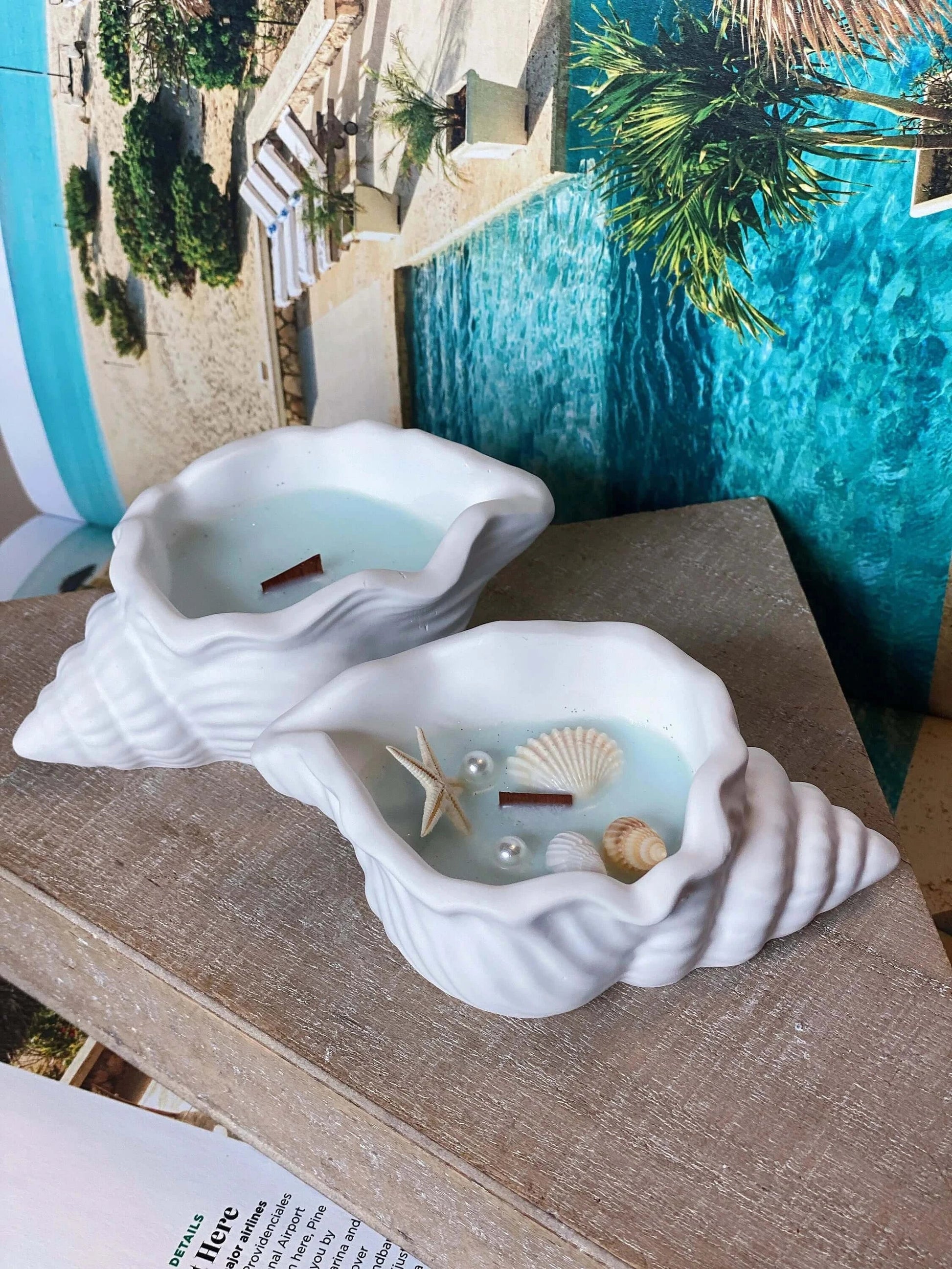 Sea Shell Candle in Jesmonite | Coastal Decor-1