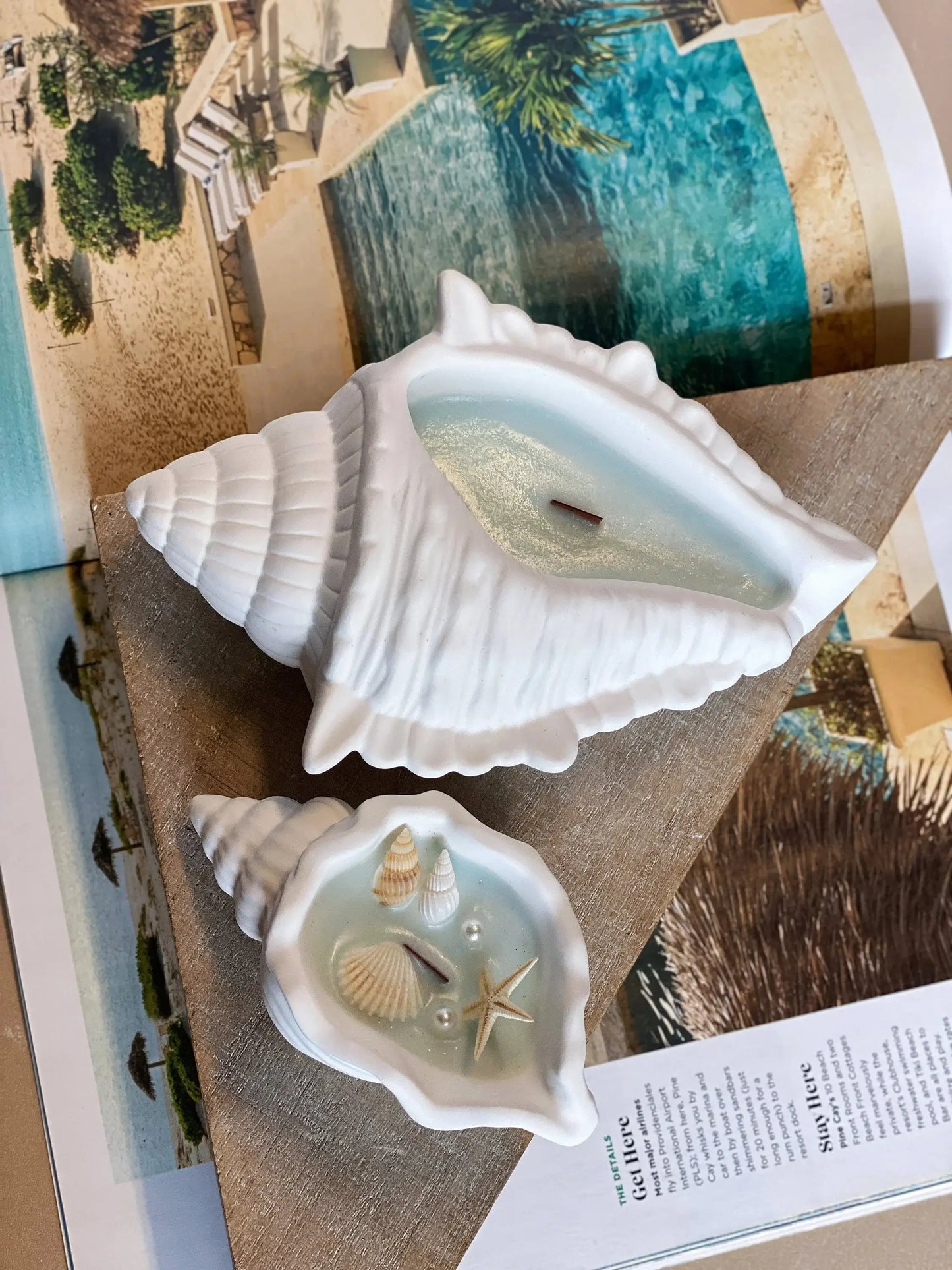 Sea Shell Candle in Jesmonite | Coastal Decor-3
